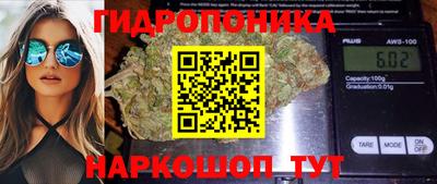 гидропоника Чапаевск